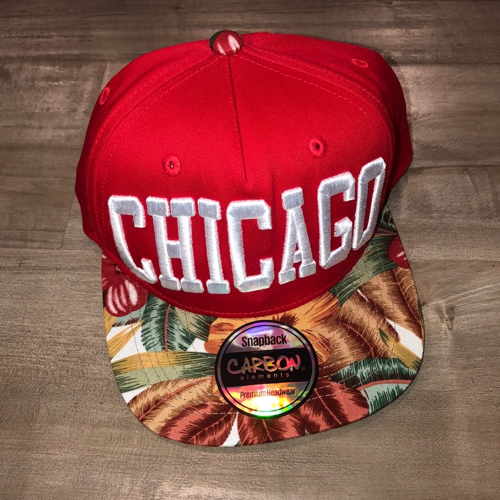 🔴SALE🔴 New Carbon Elements Chicago Snapback hat